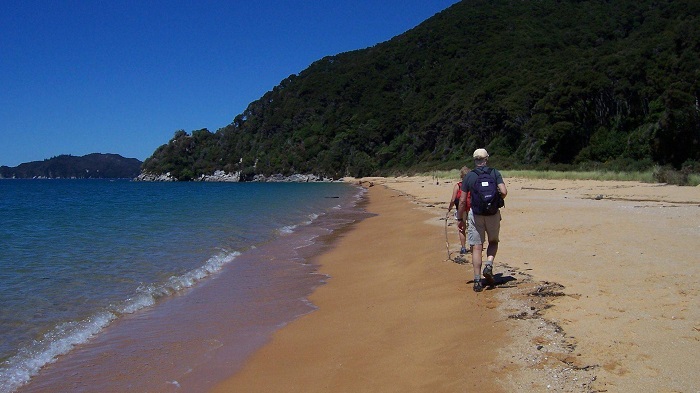 Golden Sandy Beaches of Abel Tasman