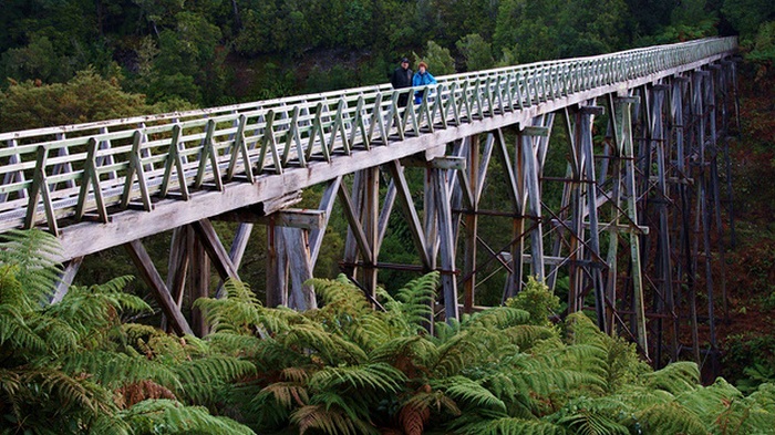 Historic Viaducts of Hump Ridge Track