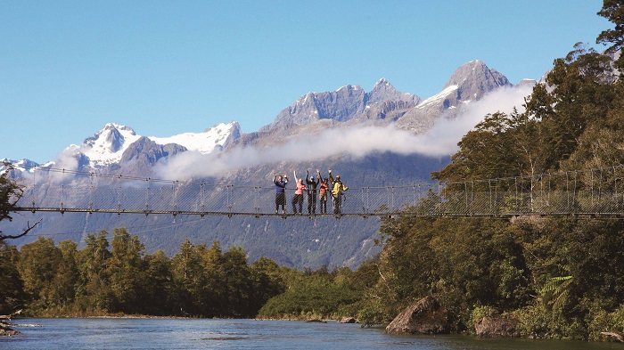 hollyford track mountains to the sea