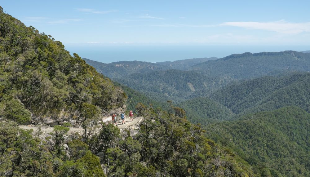 Paparoa track breath taking views