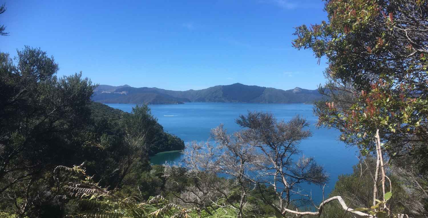 Queen Charlotte Track View