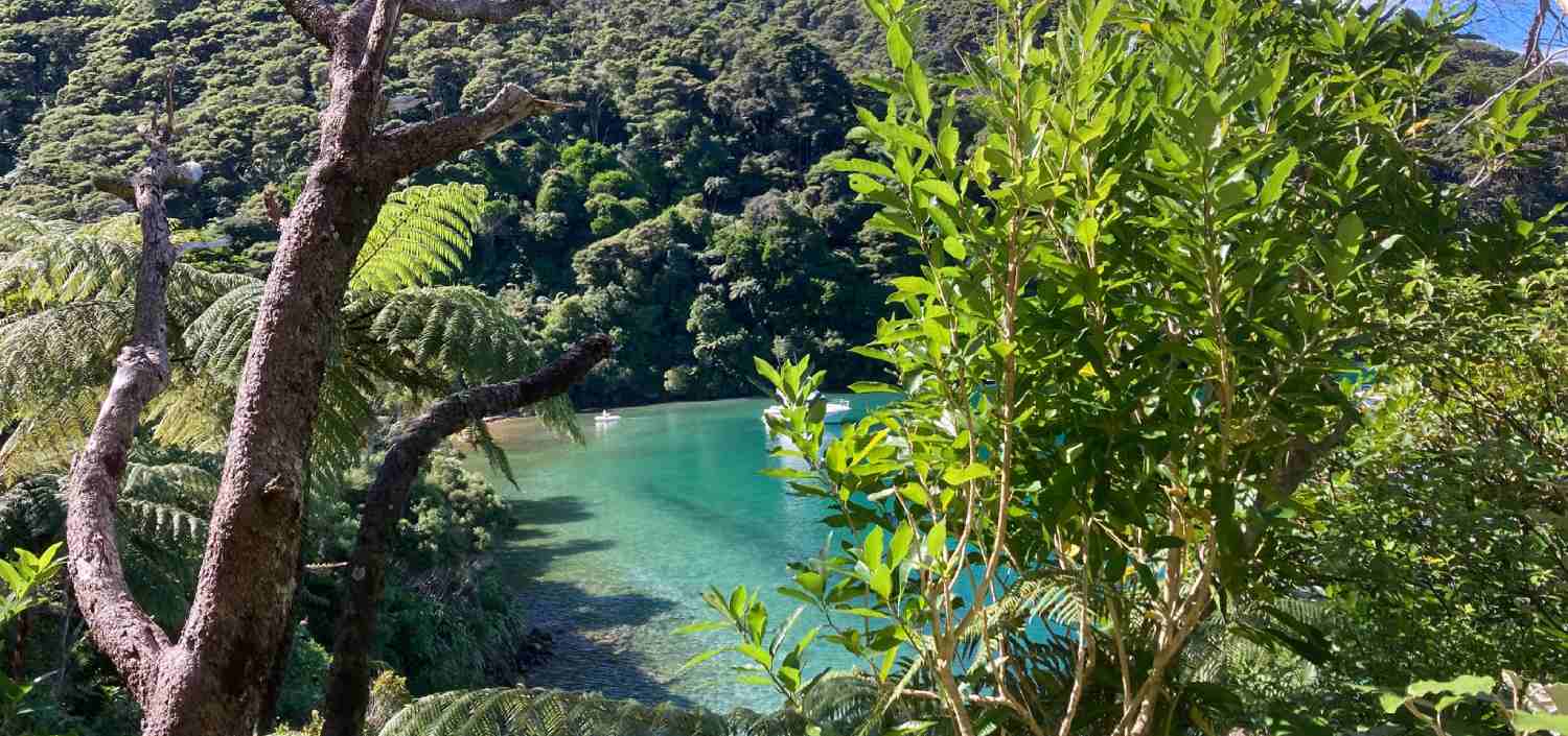 Queen Charlotte Track Beach Scenic View