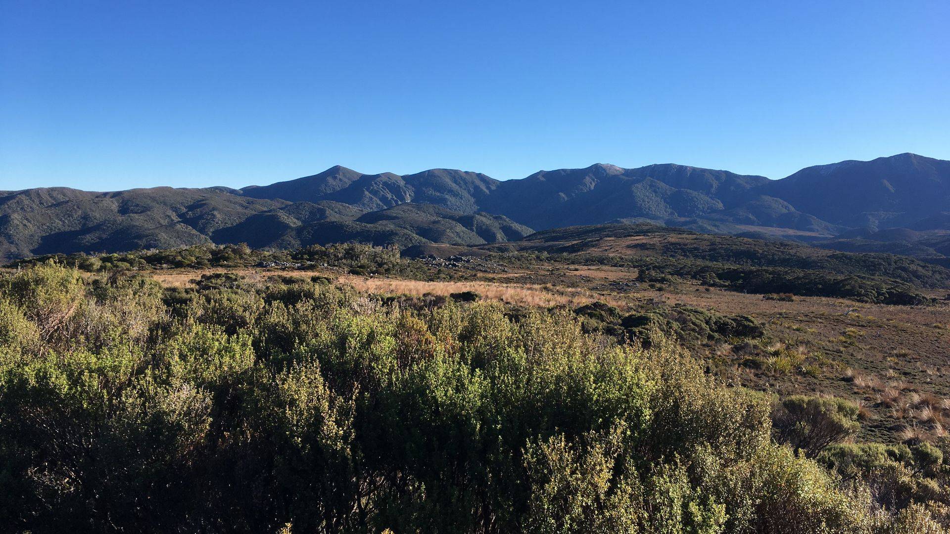 Heaphy Track