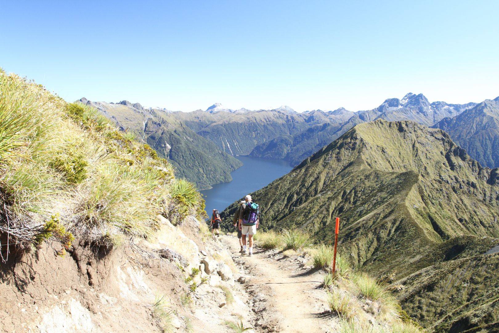 Kepler Track