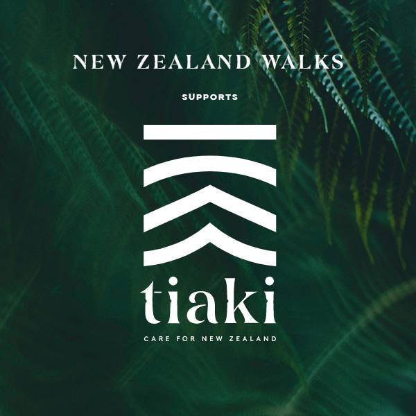 Tracks and Great Walks New Zealand | New Zealand Walks