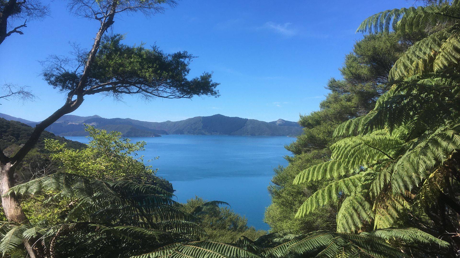 Queen Charlotte Track