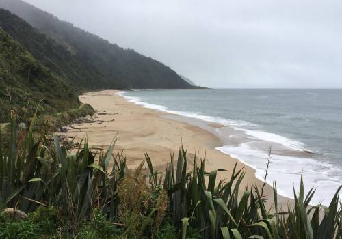 Heaphy Track Guided Walk
