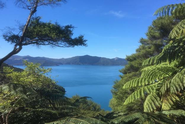 Queen Charlotte Track