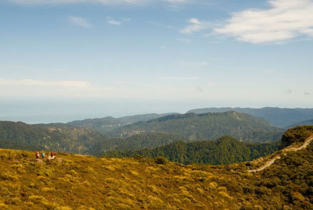 Paparoa Track