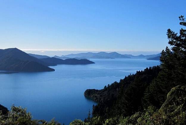 Queen Charlotte Four Day Freedom Walk