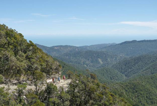 Paparoa Four Day Guided Walk