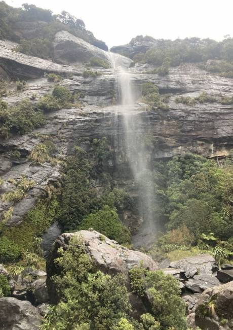 Hidden Trails Alt text