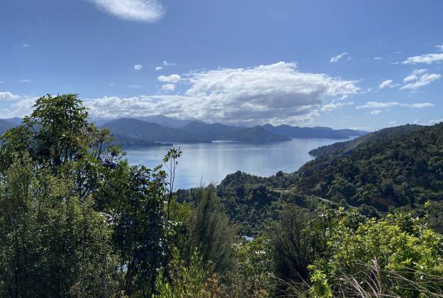 Queen Charlotte One Day Kayak Walk