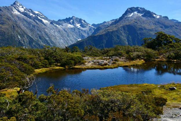Routeburn clearance guided walk