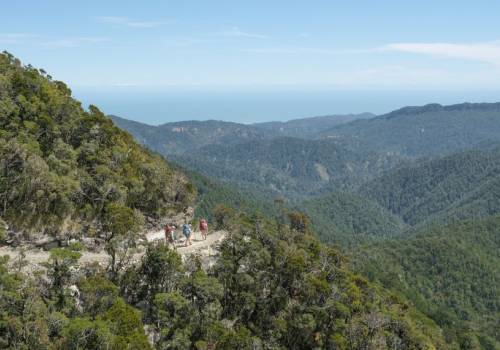 Paparoa track breath taking views