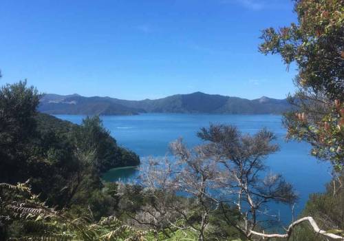 Things To Do In Picton
