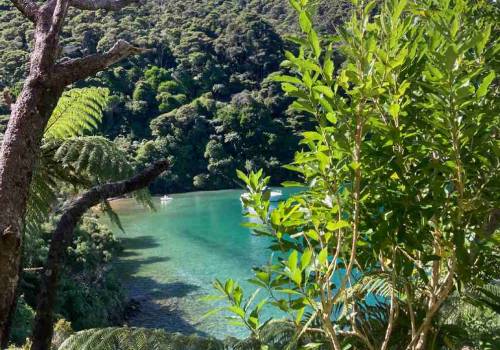 Queen Charlotte Track Beach Scenic View