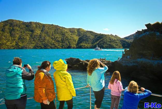 Marlborough Sounds Day Trip