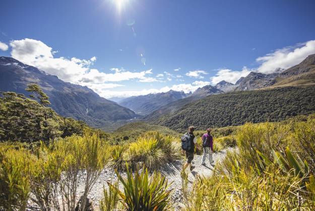 Fiordland Great Walk Package - 3 Hikes, 3 Days